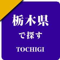 栃木の男性セラピスト出張アロマオイルリンパマッサージ検索サイトのお勧め店